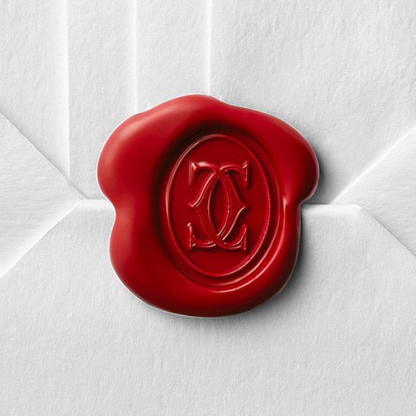 CARTIER PANTHÈRE DE WATCH SMALL MOEDL - Image 8