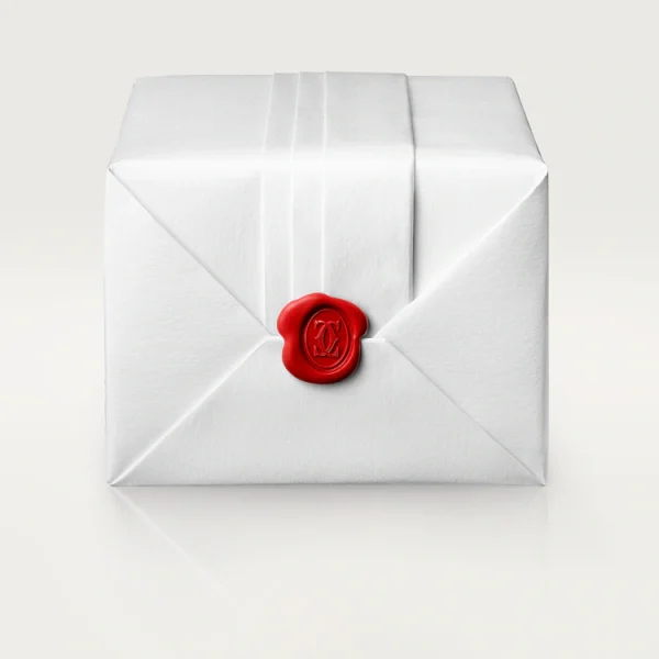 CARTIER LOVE EARRINGS - Image 4