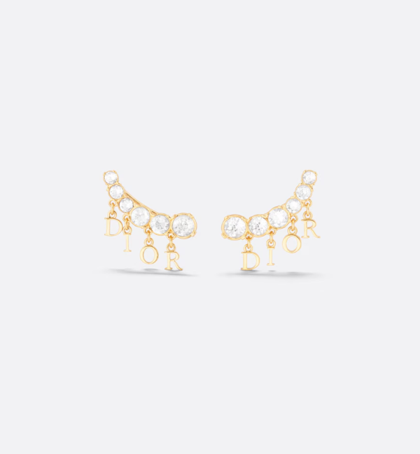 DIOR Evolution Earrings