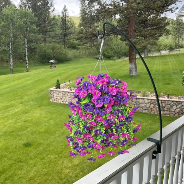 Perfect home garden decoration – 🌺hanging morning glory - Image 5