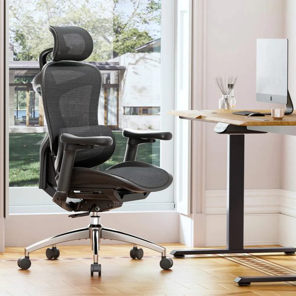 Sihoo Doro C300 Ergonomic Office Chair - Image 2