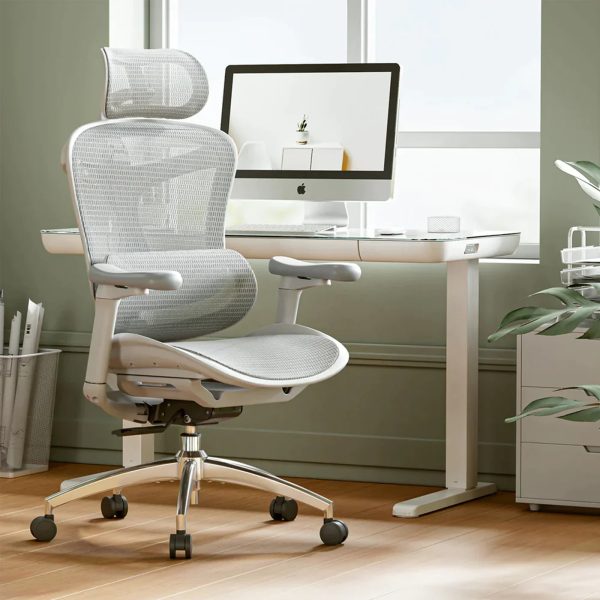 Sihoo Doro C300 Ergonomic Office Chair - Image 3