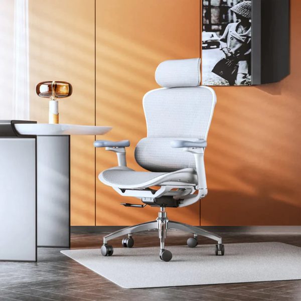 Sihoo Doro C300 Ergonomic Office Chair - Image 4