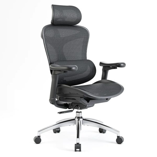 Sihoo Doro C300 Ergonomic Office Chair - Image 6