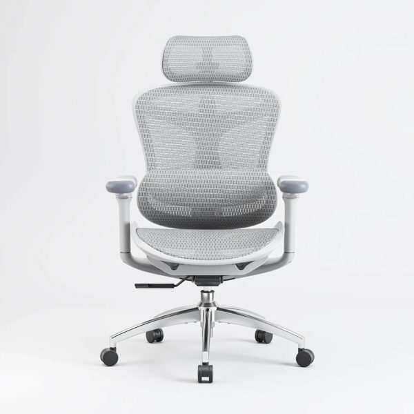 Sihoo Doro C300 Ergonomic Office Chair - Image 10