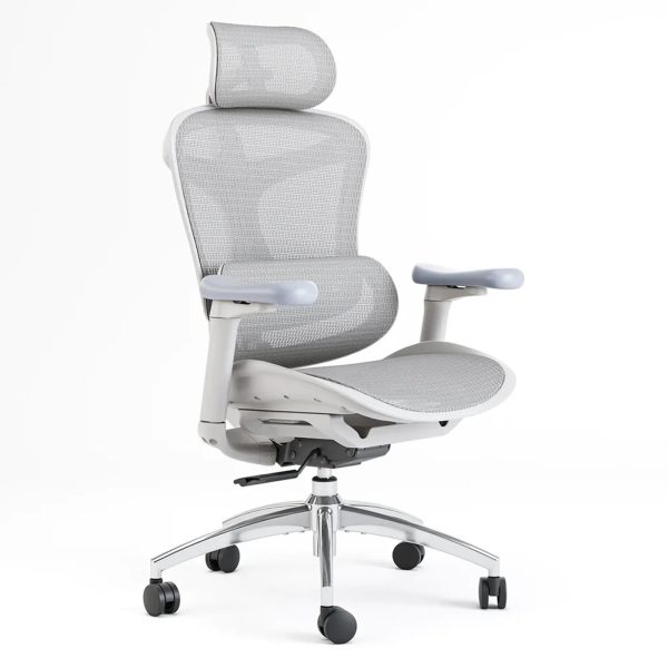 Sihoo Doro C300 Ergonomic Office Chair - Image 11