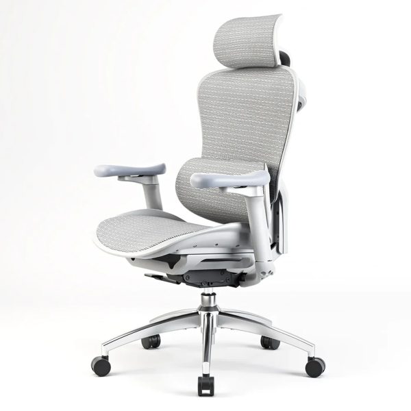 Sihoo Doro C300 Ergonomic Office Chair - Image 12