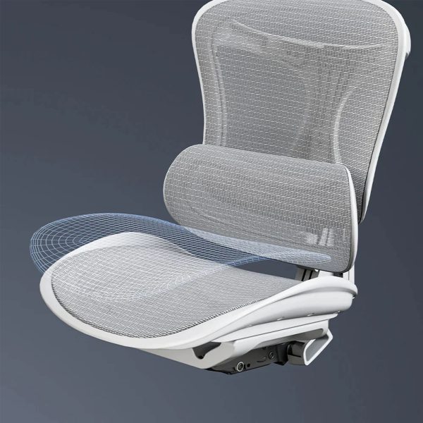 Sihoo Doro C300 Ergonomic Office Chair - Image 14