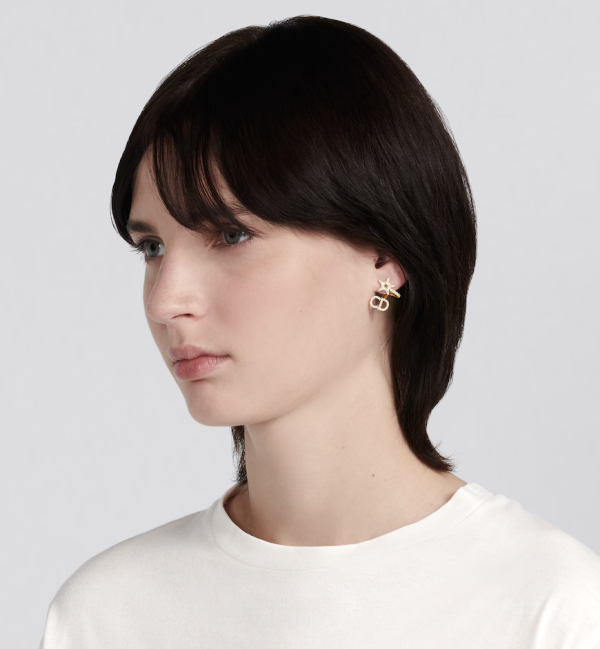 DIOR Clair D Lune Earrings - Image 2