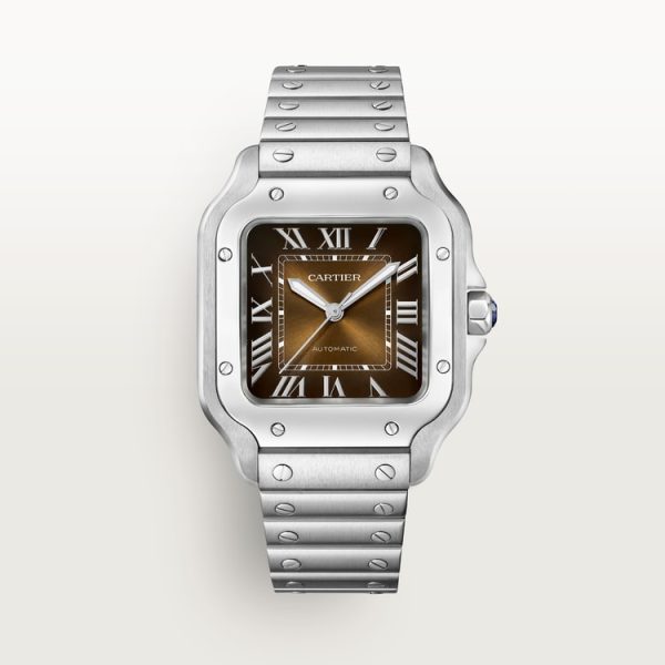 CARTIER SANTOS DE WATCH MEDIUM MODEL
