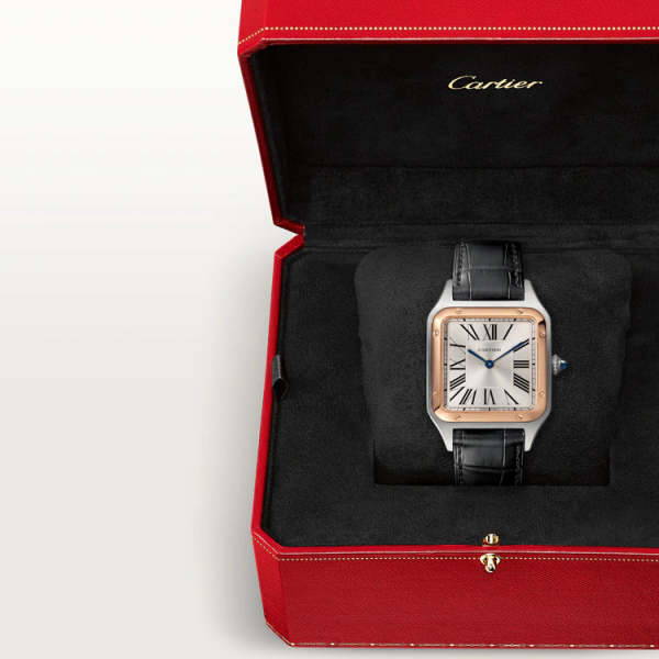 CARTIER SANTOS-DUMONT WATCH LARGE MODEL - Image 7