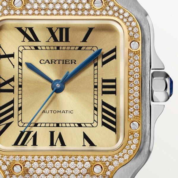 CARTIER SANTOS DE WATCH MEDIUM MODEL - Image 3