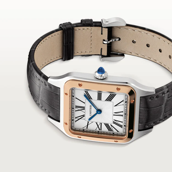 CARTIER SANTOS-DUMONT WATCH LARGE MODEL - Image 6