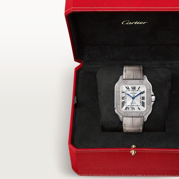 CARTIER SANTOS DE WATCH MEDIUM MODEL - Image 3