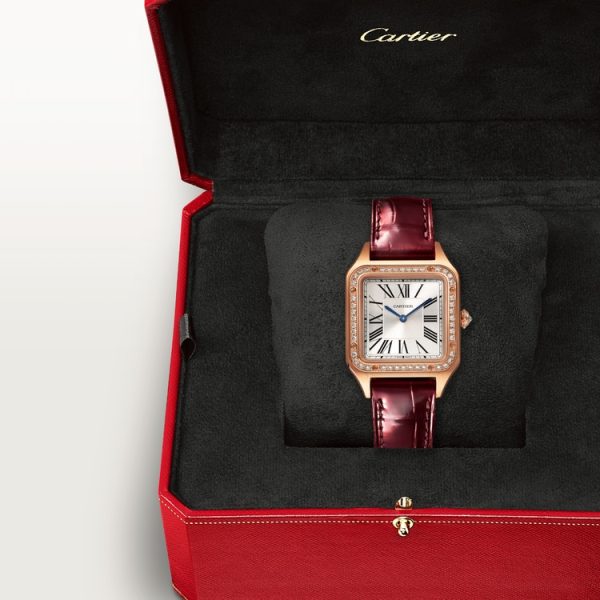 CARTIER SANTOS-DUMONT WATCH SMALL MODEL - Image 6