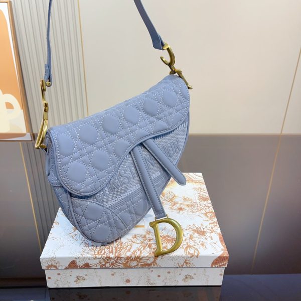 DIOR Fashion Ringer Scrub Saddle Bag
