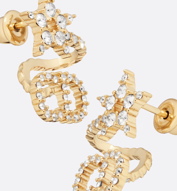 DIOR Clair D Lune Earrings - Image 5