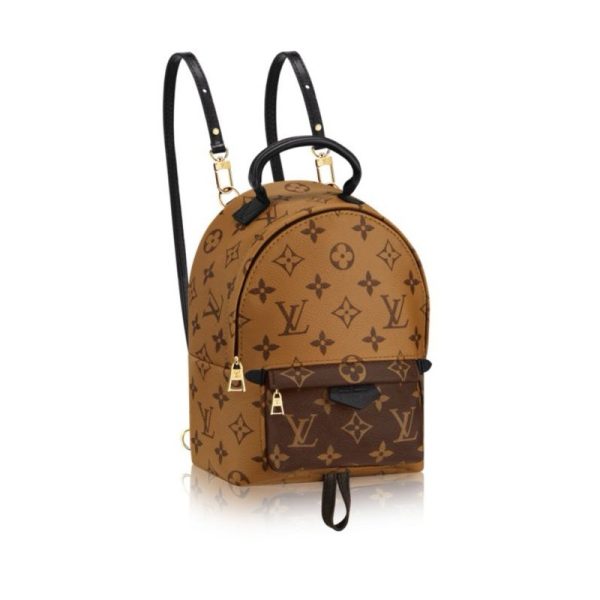 Louis Vuitton Palm Springs Backpack Mini M42411