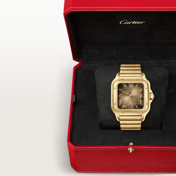 CARTIER SANTOS DE WATCH  LARGE MODEL - Image 6