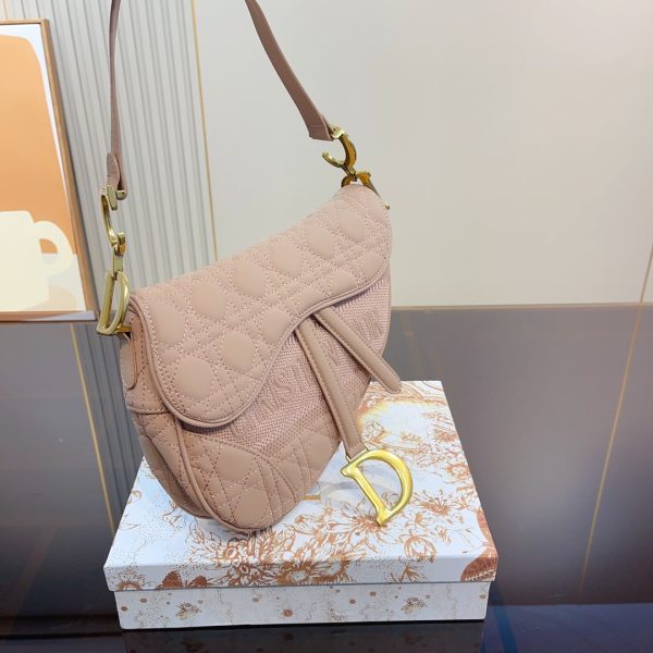 DIOR Fashion Ringer Scrub Saddle Bag