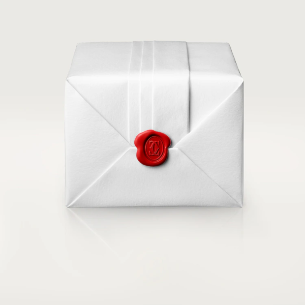 CARTIER LOVE EARRINGS - Image 7