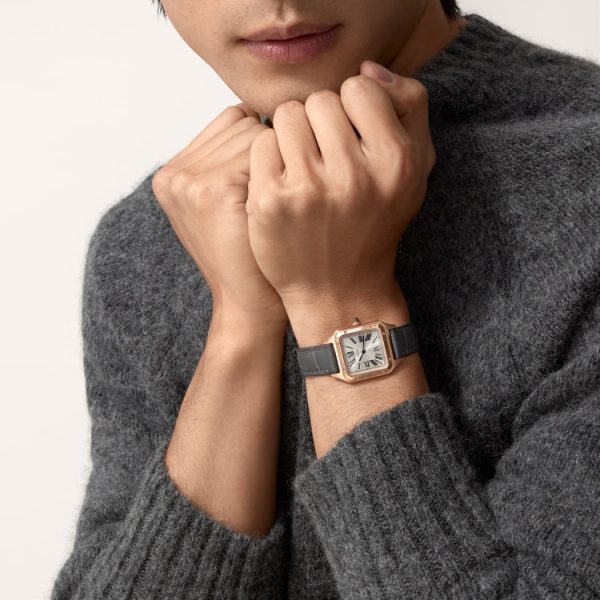 CARTIER SANTOS-DUMONT WATCH SMALL MODEL - Image 9