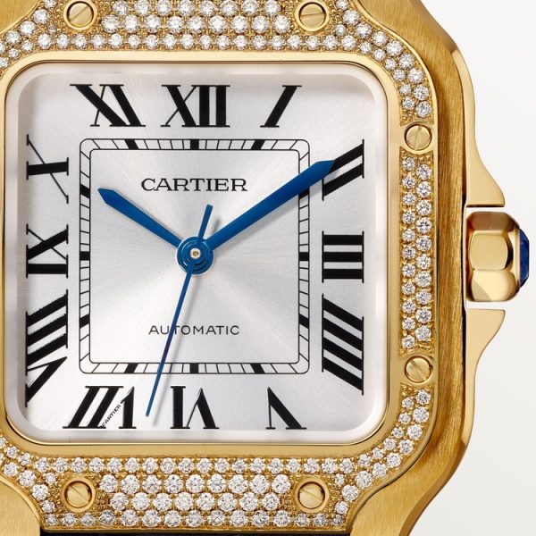 CARTIER SANTOS DE WATCH MEDIUM MODEL - Image 3