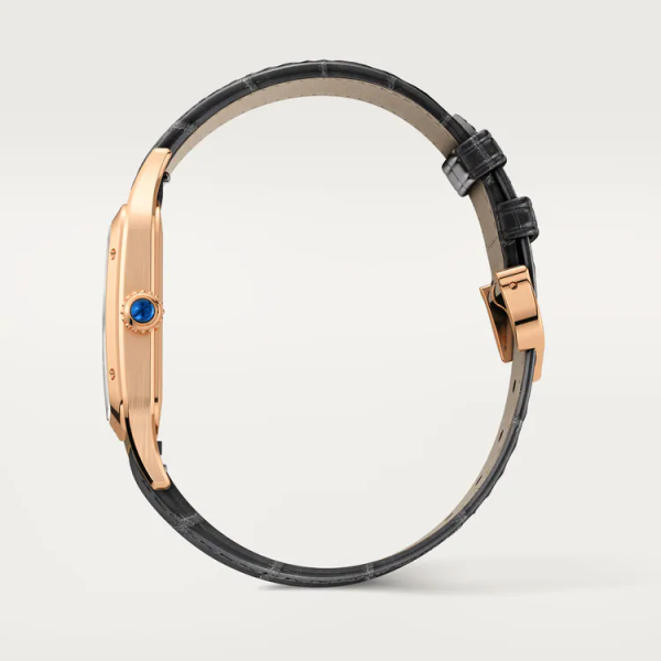 CARTIER SANTOS-DUMONT WATCH LARGE MODEL - Image 4