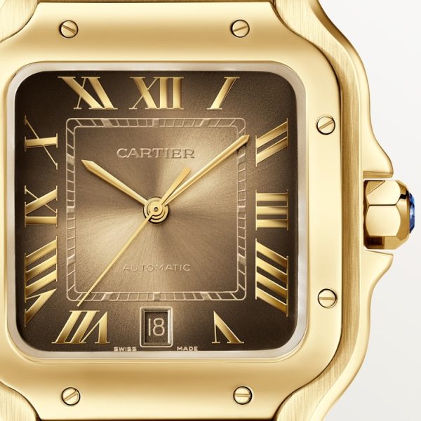 CARTIER SANTOS DE WATCH  LARGE MODEL - Image 5