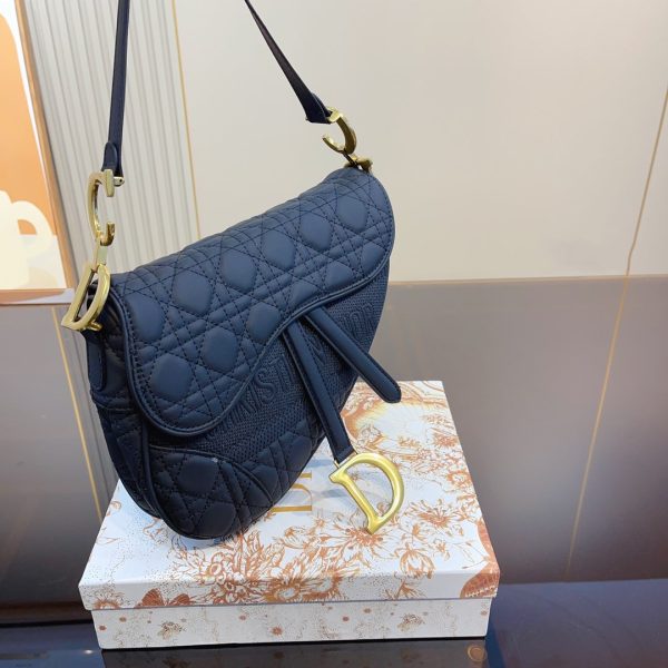 DIOR Fashion Ringer Scrub Saddle Bag