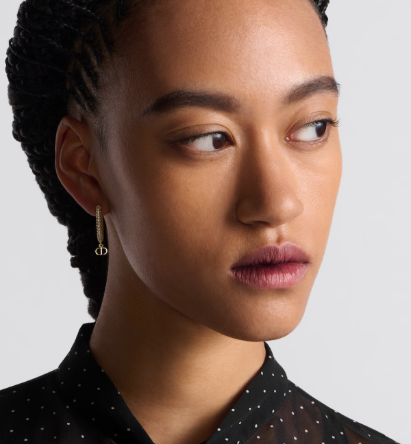 DIOR D-Fusion Earrings - Image 3