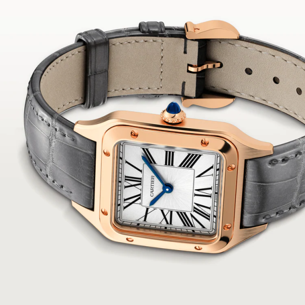 CARTIER SANTOS-DUMONT WATCH LARGE MODEL - Image 8