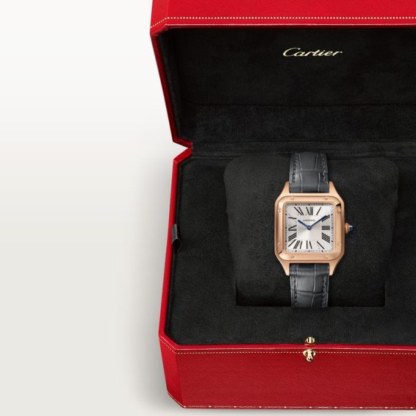 CARTIER SANTOS-DUMONT WATCH SMALL MODEL - Image 7