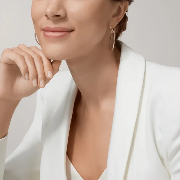 CARTIER JUSTE UN CLOU EARRINGS - Image 5