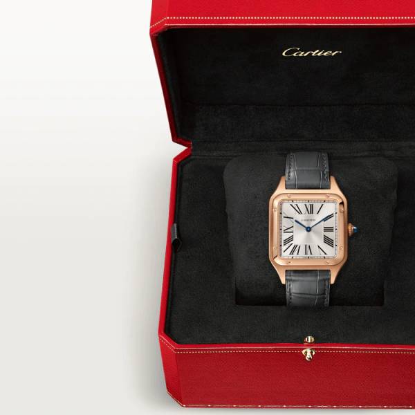 CARTIER SANTOS-DUMONT WATCH LARGE MODEL - Image 7