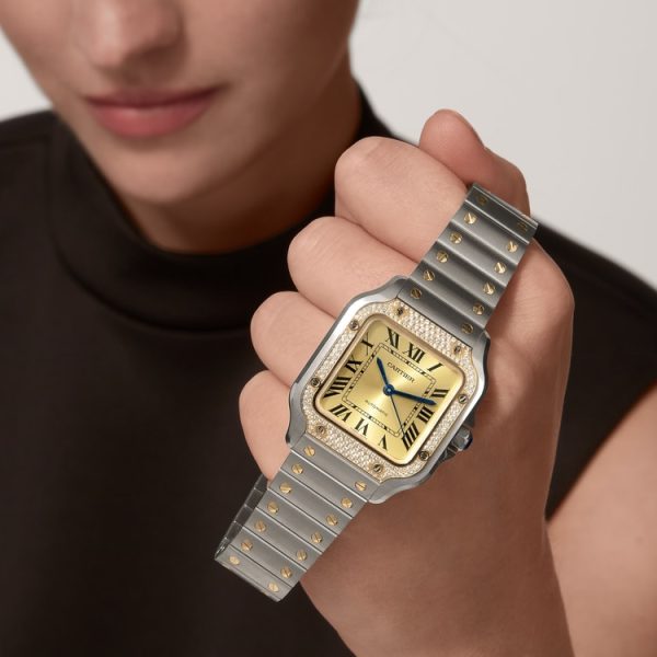 CARTIER SANTOS DE WATCH MEDIUM MODEL - Image 10