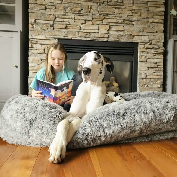 ✨TODAY ONLY🔔Luxury Super Large Sleep Deeper Oval Bed Human Dog Bed - Image 8