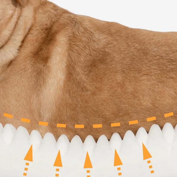 ✨TODAY ONLY🔔Luxury Super Large Sleep Deeper Oval Bed Human Dog Bed - Image 15